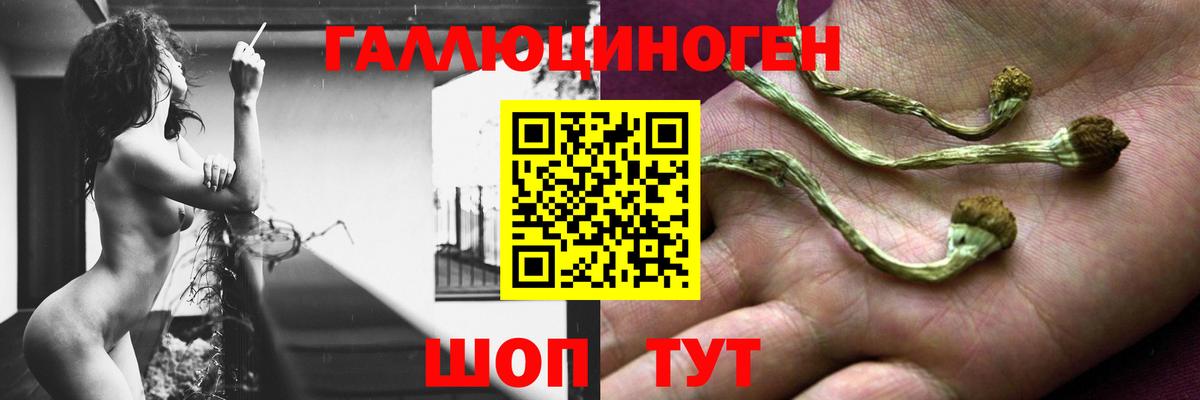 Сочи  даркнет сайт  Вход с VPN  Галлюциногенные грибы мицелий  Галлюциногенные грибы MAGIC MUSHROOMS 