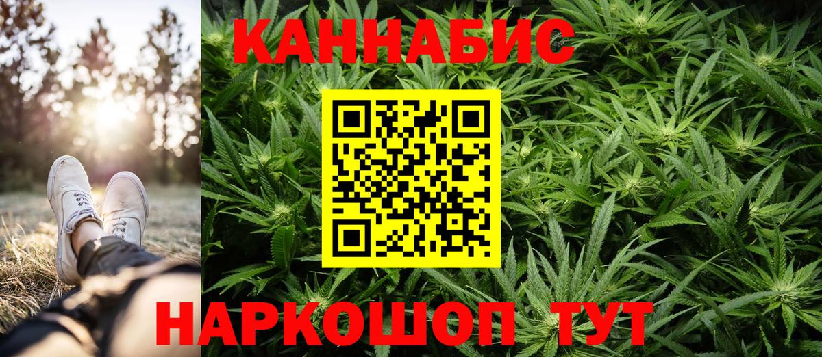 Бошки марихуана сатива Сочи